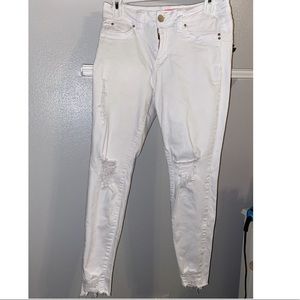 YMI mid rise jeans